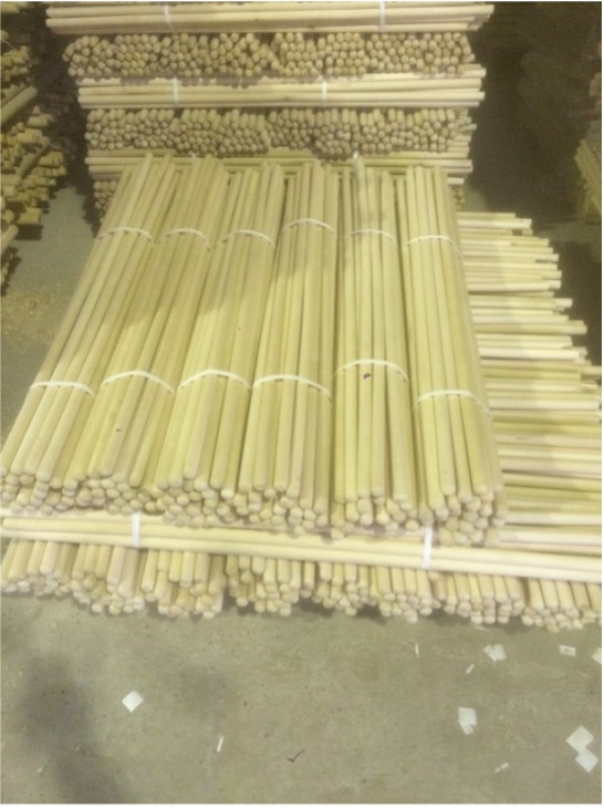 Черенок береза