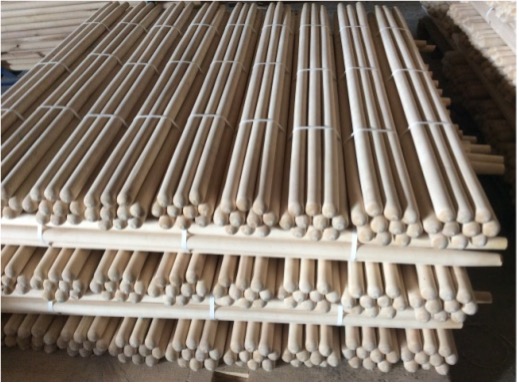 Черенок береза