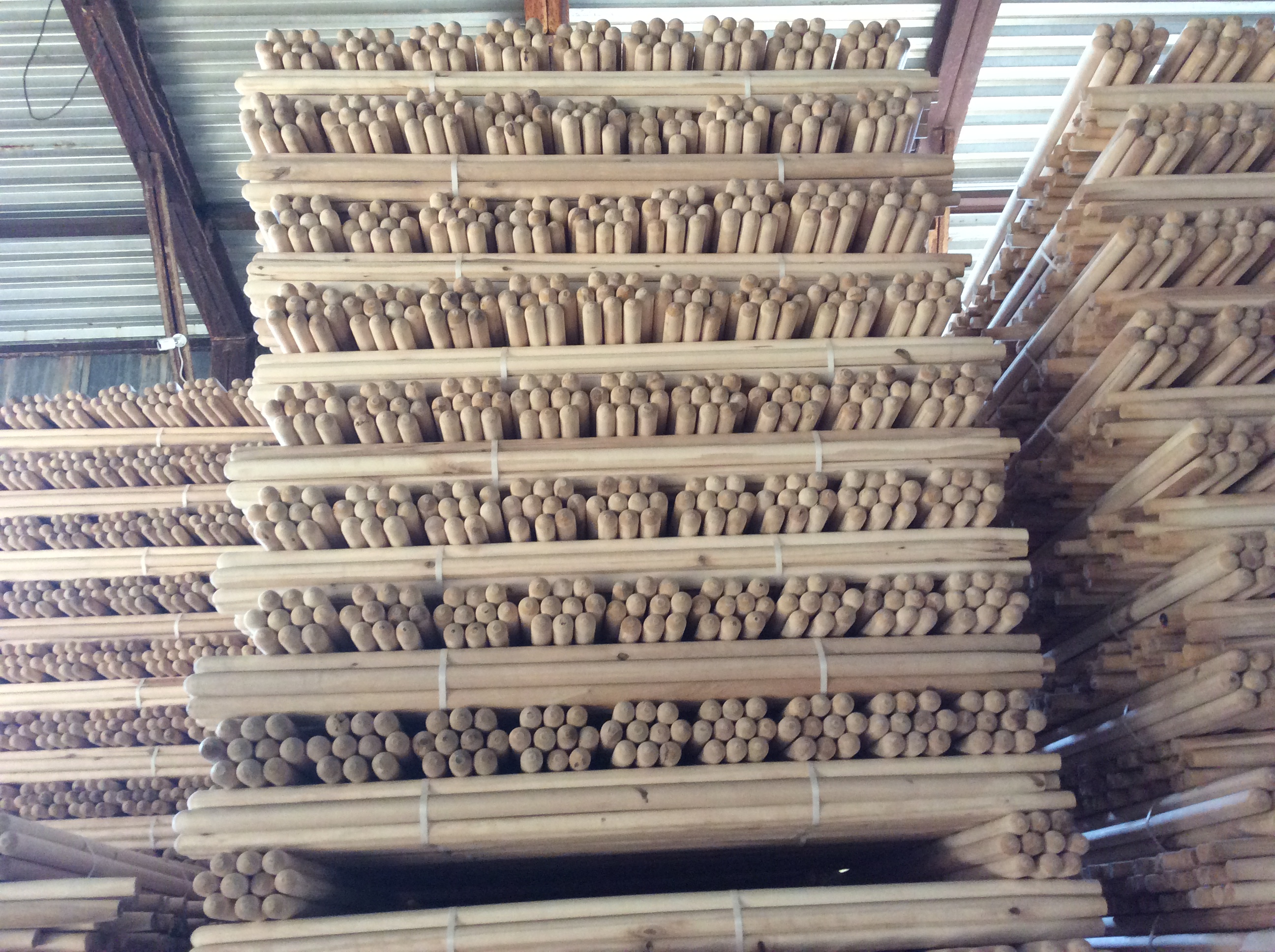 Черенок береза