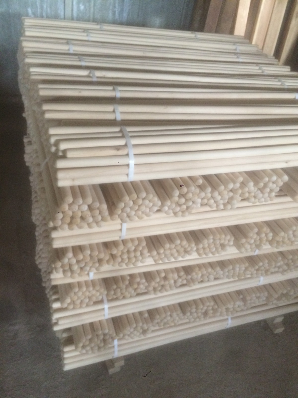 Черенок береза